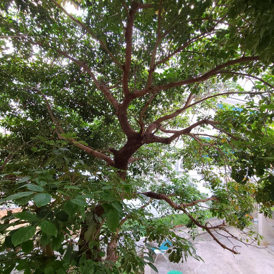 白砂灣藍海之丘blue Ocean Hill Bed and Breakfast Heng-ch'un Εξωτερικό φωτογραφία